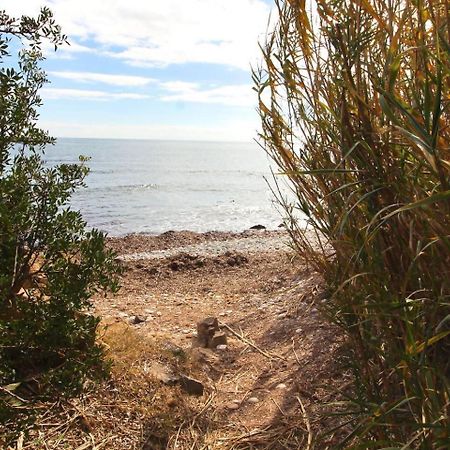 Chalet A 500M Del Mar ألتيا المظهر الخارجي الصورة
